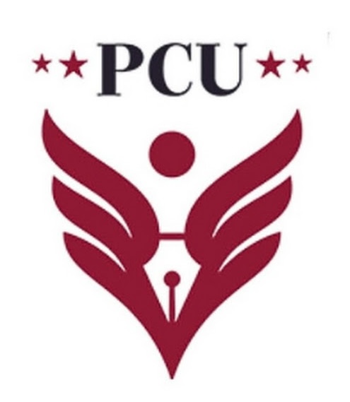 Pimpri Chinchwad University Pimpri Chinchwad University